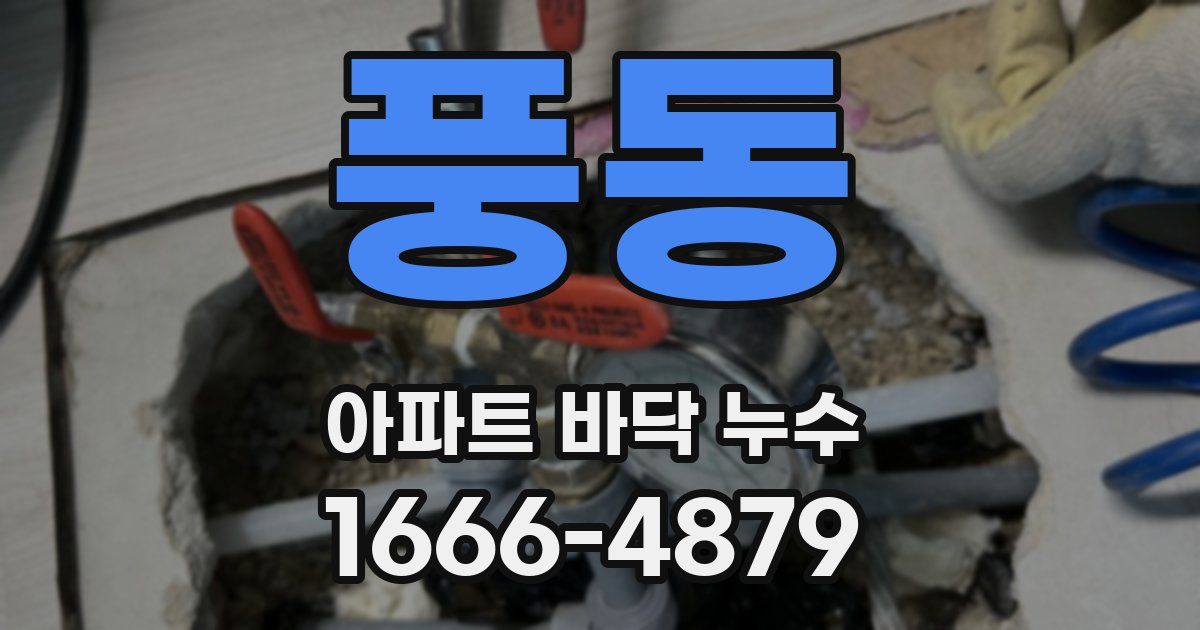 풍동 아파트 바닥 누수