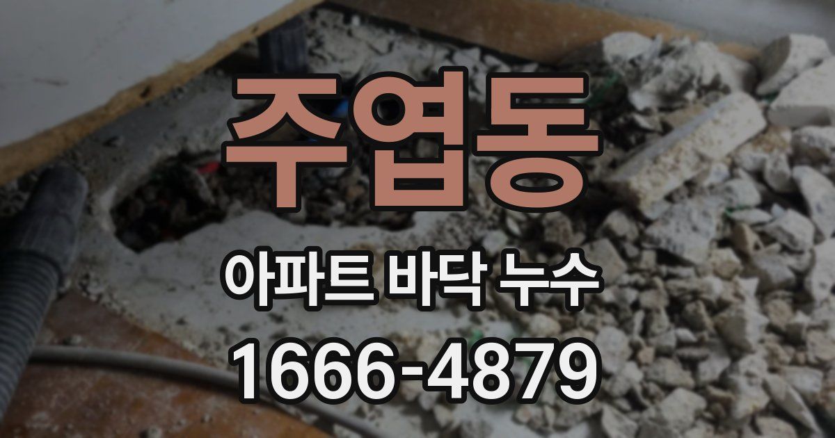 주엽동 아파트 바닥 누수