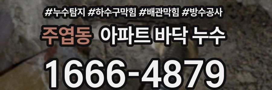 주엽동 아파트 바닥 누수