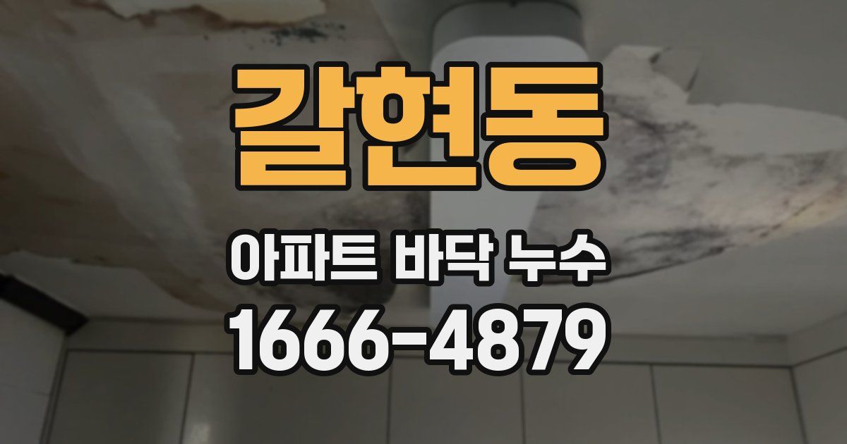 갈현동 아파트 바닥 누수