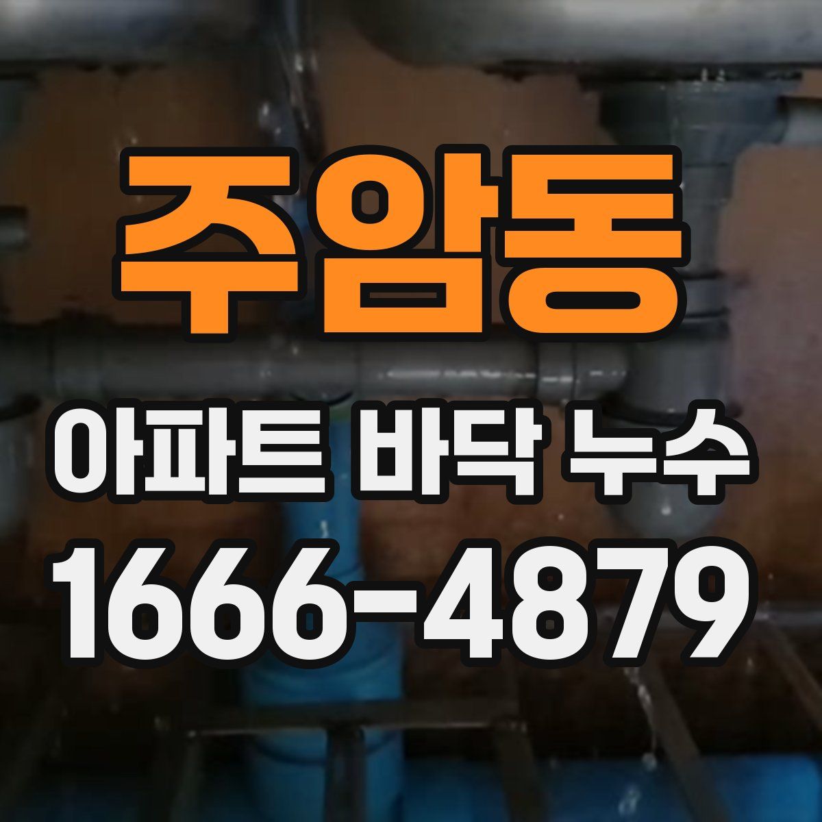 주암동 아파트 바닥 누수