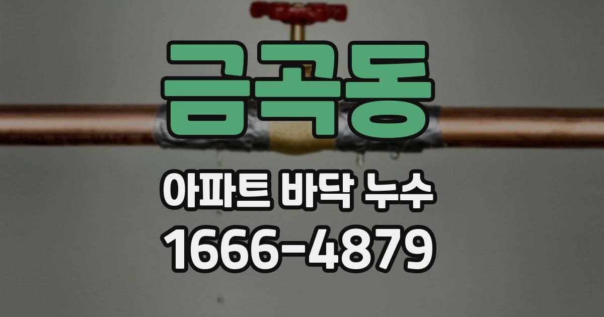 금곡동 아파트 바닥 누수