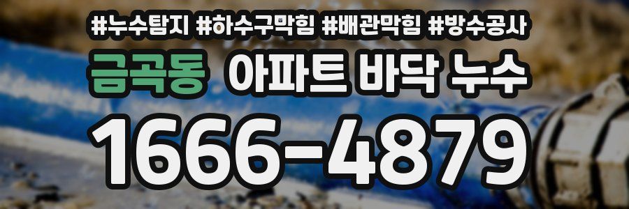 금곡동 아파트 바닥 누수