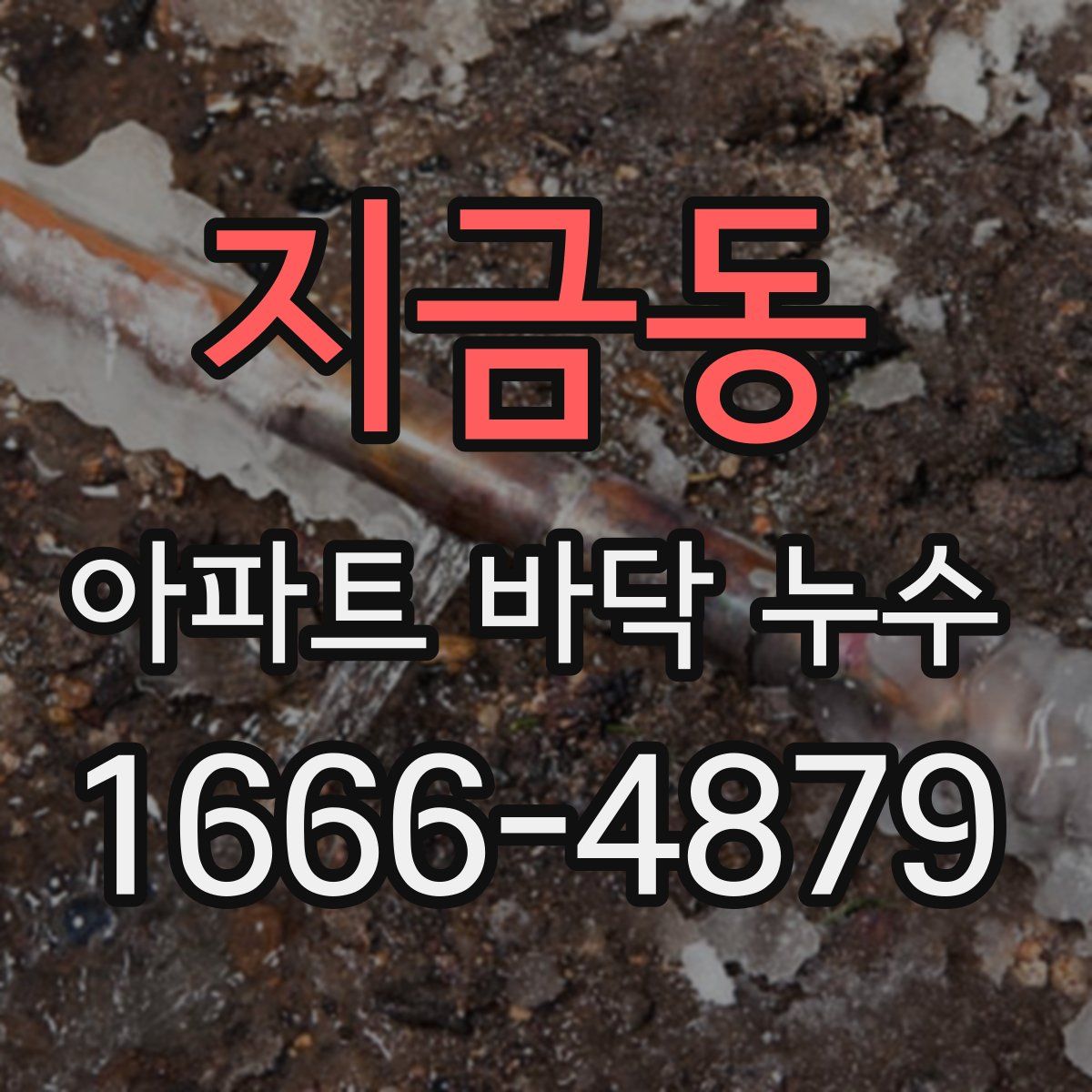 지금동 아파트 바닥 누수