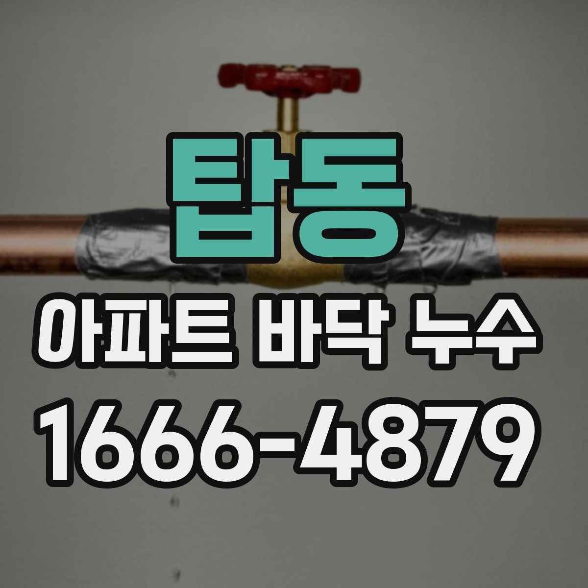 탑동 아파트 바닥 누수