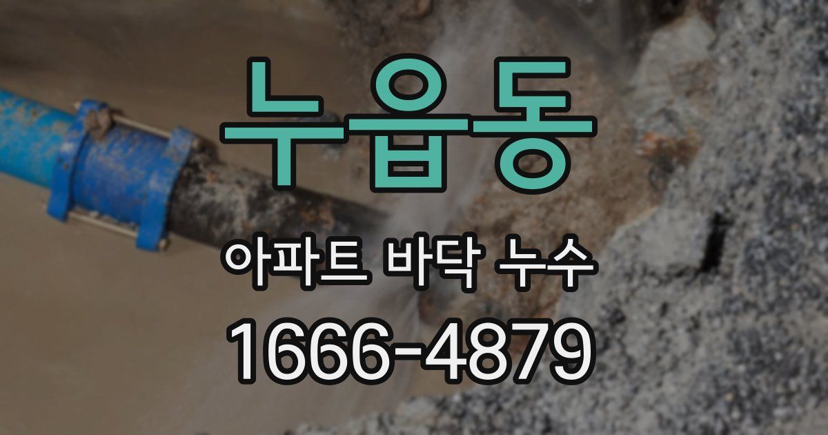 누읍동 아파트 바닥 누수