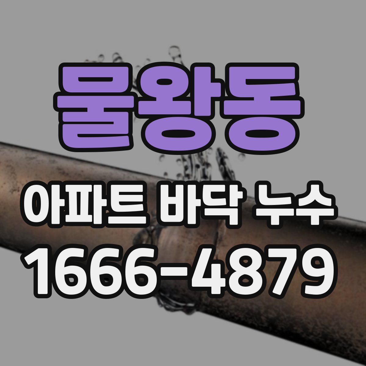 물왕동 아파트 바닥 누수