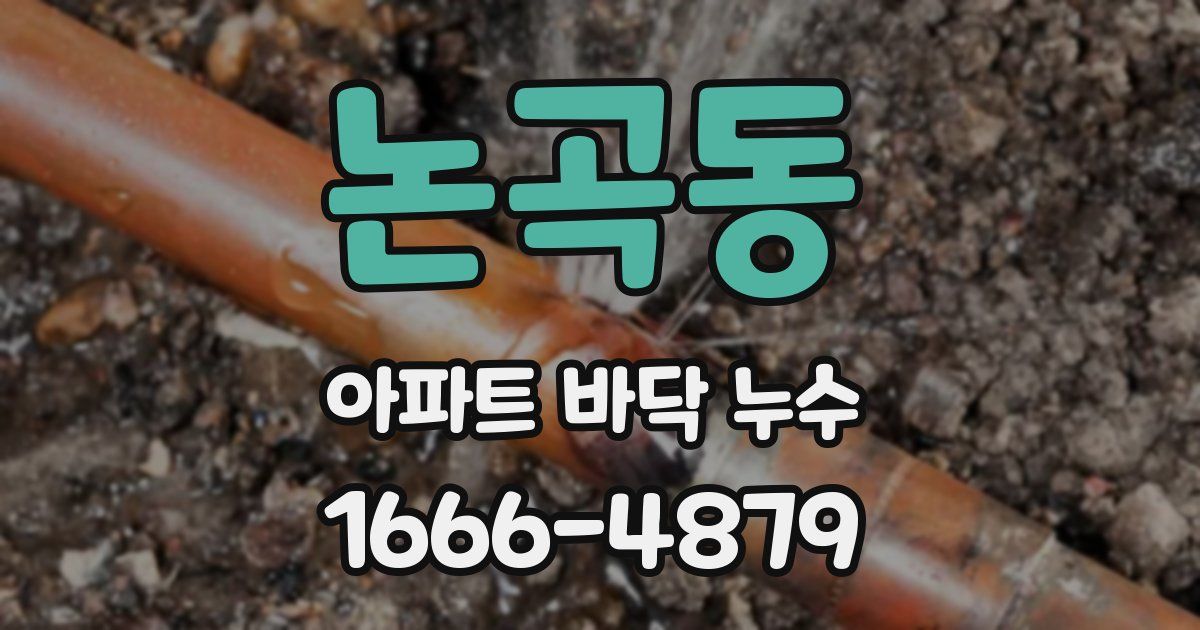 논곡동 아파트 바닥 누수