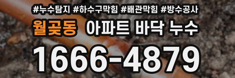 월곶동 아파트 바닥 누수