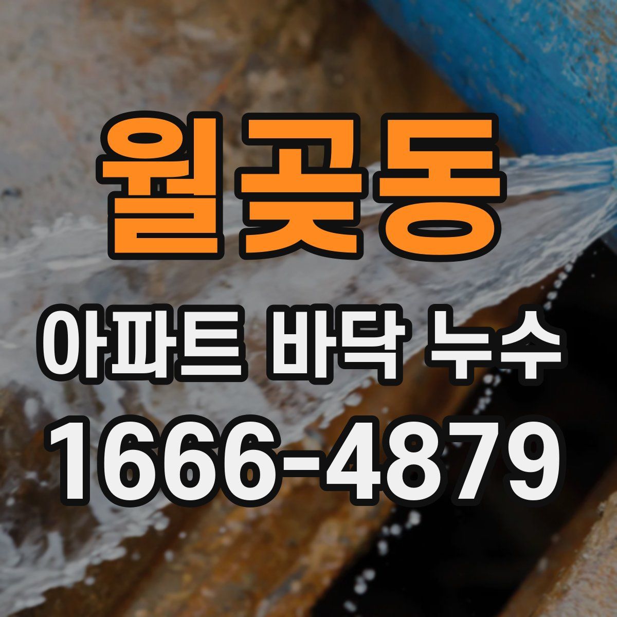 월곶동 아파트 바닥 누수