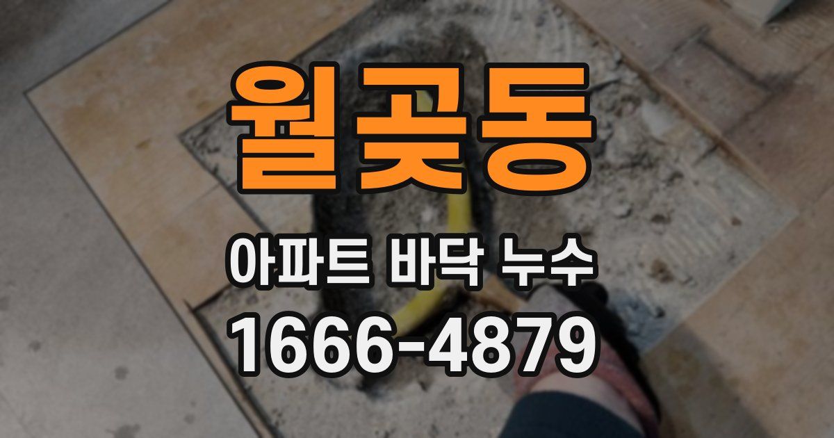 월곶동 아파트 바닥 누수