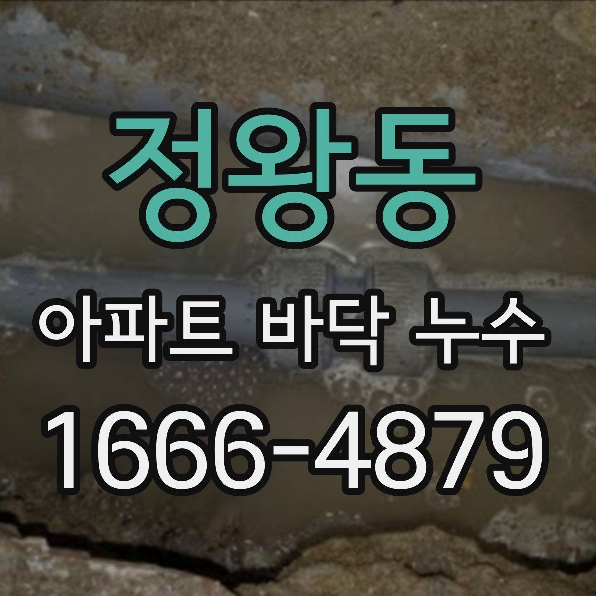 정왕동 아파트 바닥 누수