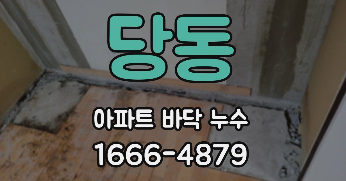 당동 아파트 바닥 누수