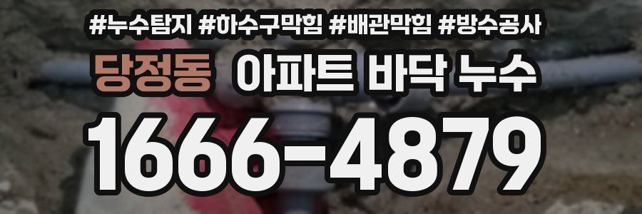 당정동 아파트 바닥 누수