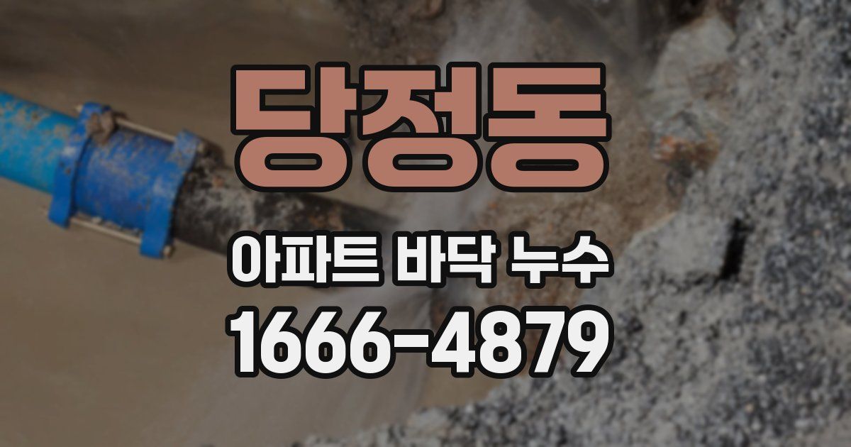 당정동 아파트 바닥 누수