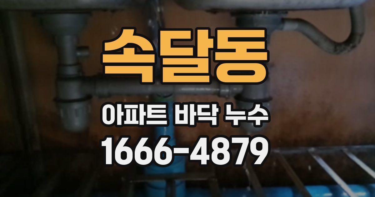 속달동 아파트 바닥 누수