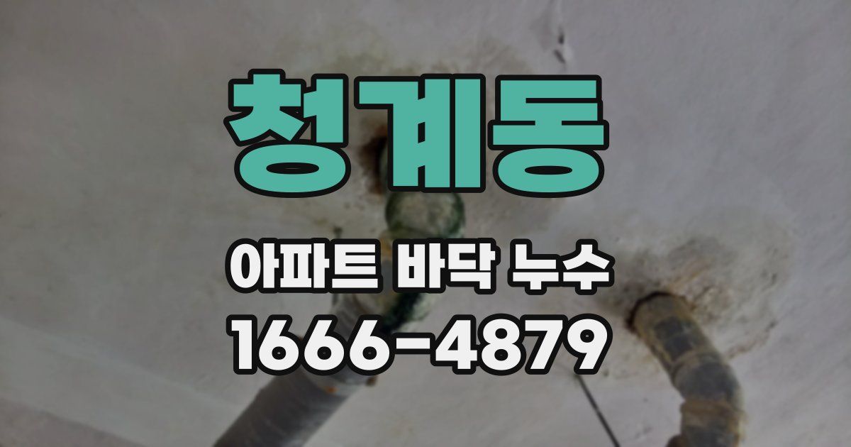 청계동 아파트 바닥 누수