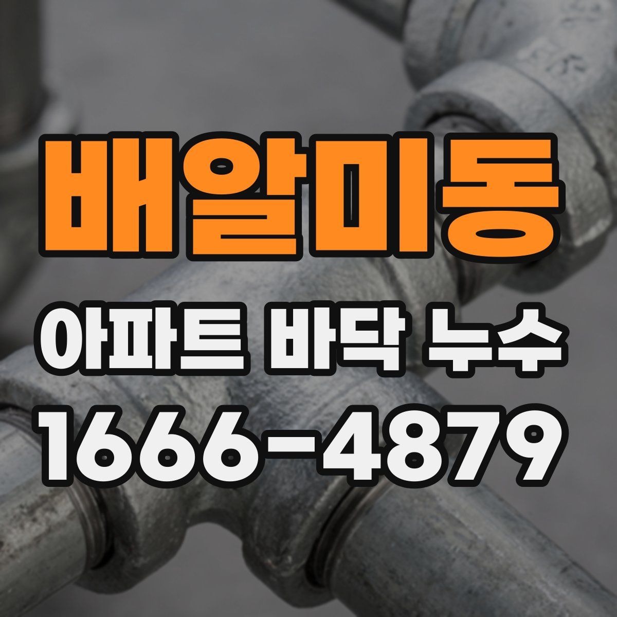 배알미동 아파트 바닥 누수