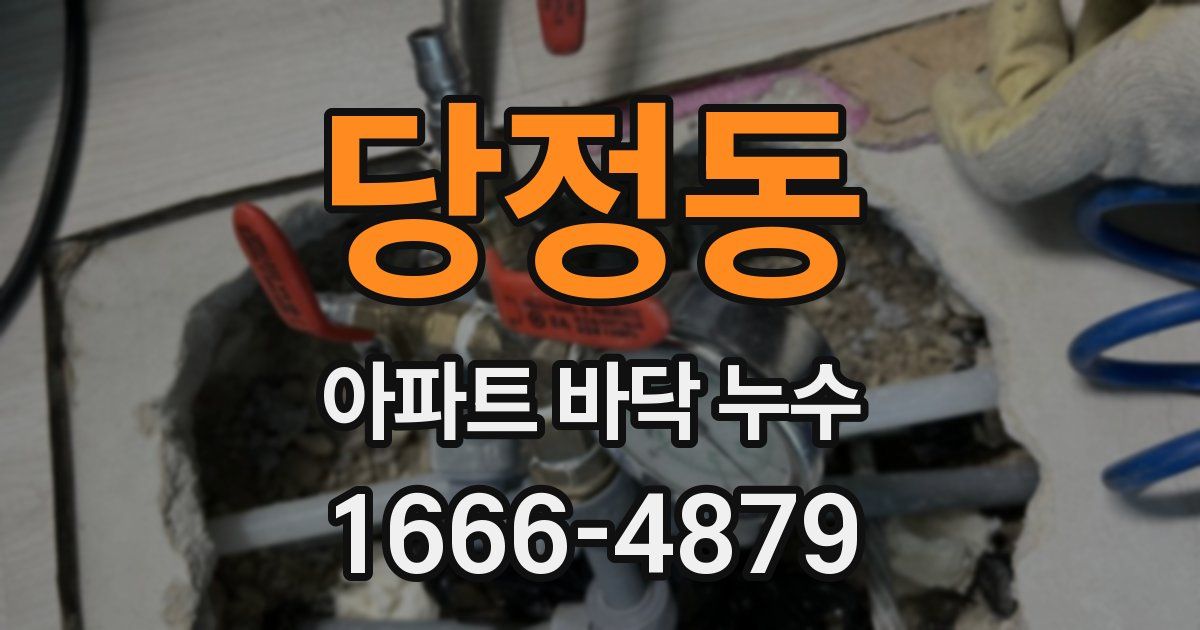 당정동 아파트 바닥 누수