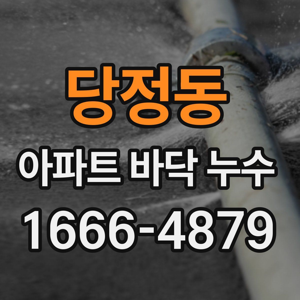 당정동 아파트 바닥 누수