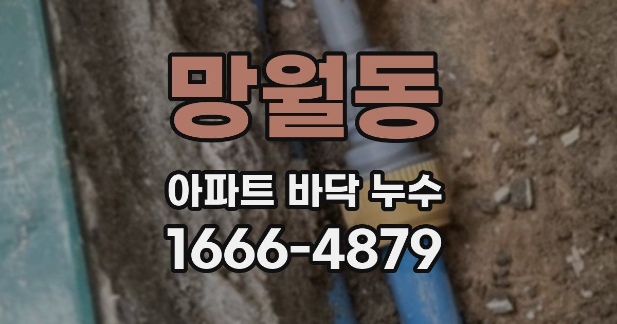 망월동 아파트 바닥 누수