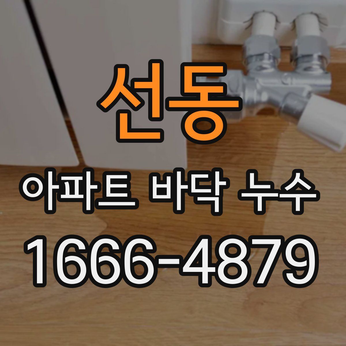 선동 아파트 바닥 누수