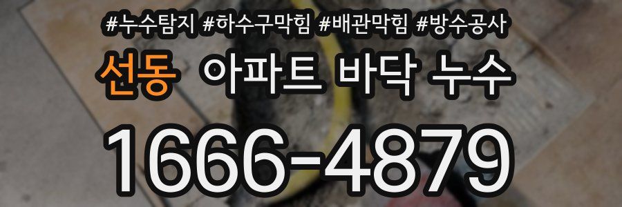 선동 아파트 바닥 누수