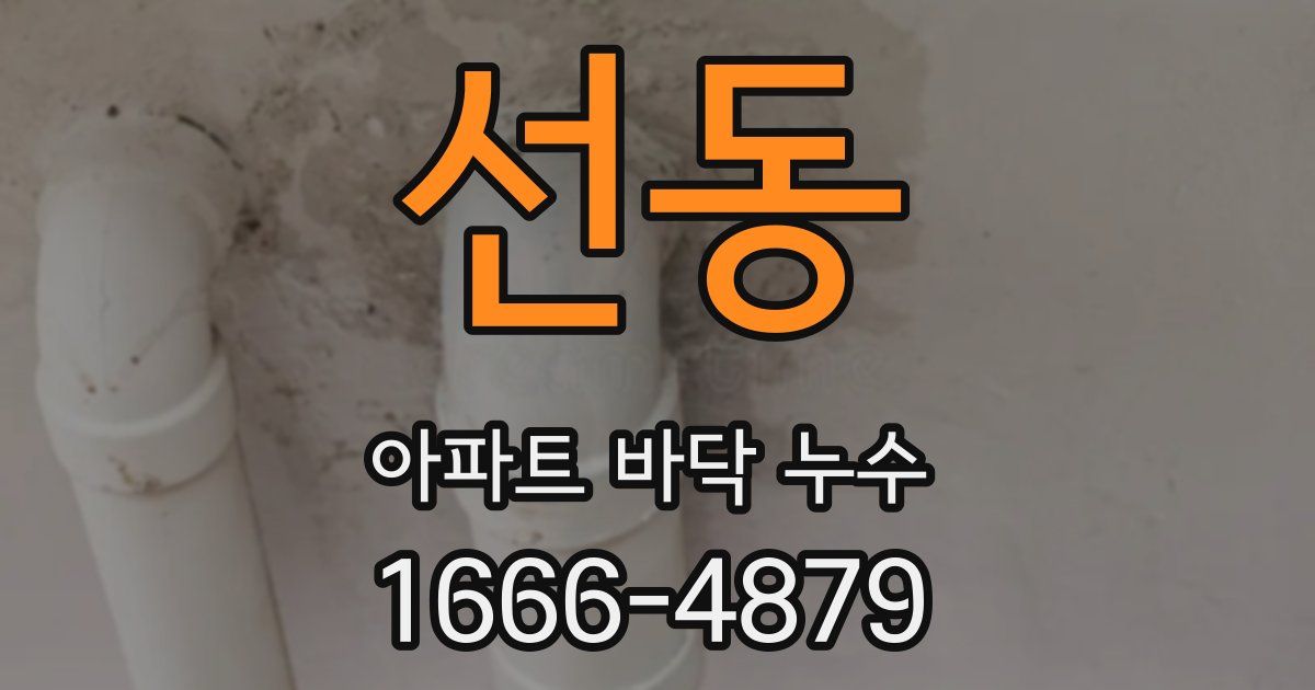 선동 아파트 바닥 누수