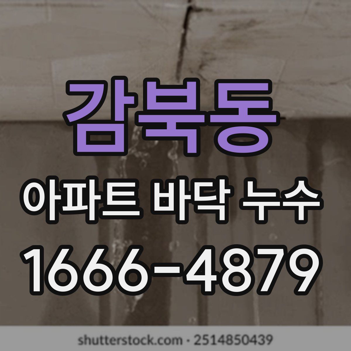 감북동 아파트 바닥 누수