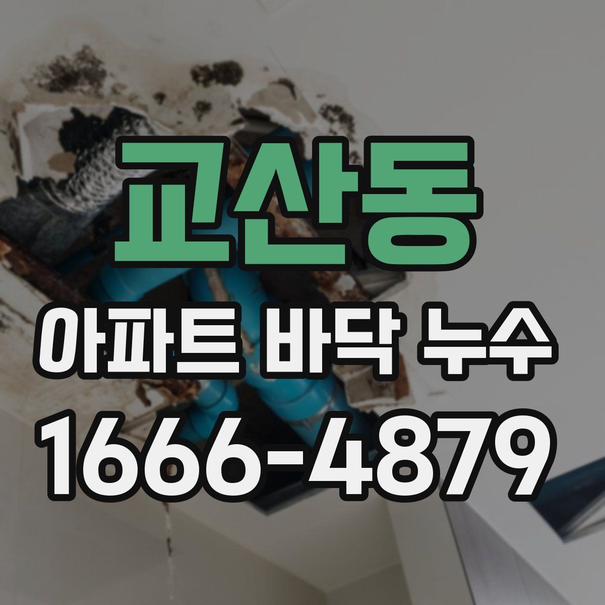 교산동 아파트 바닥 누수