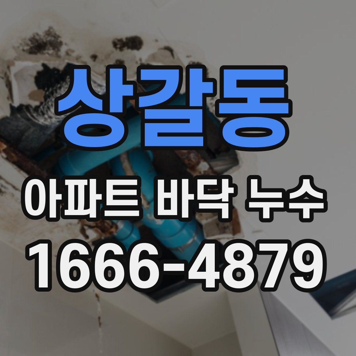 상갈동 아파트 바닥 누수