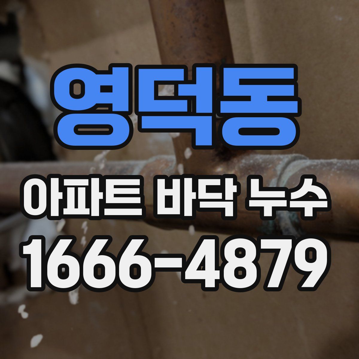 영덕동 아파트 바닥 누수