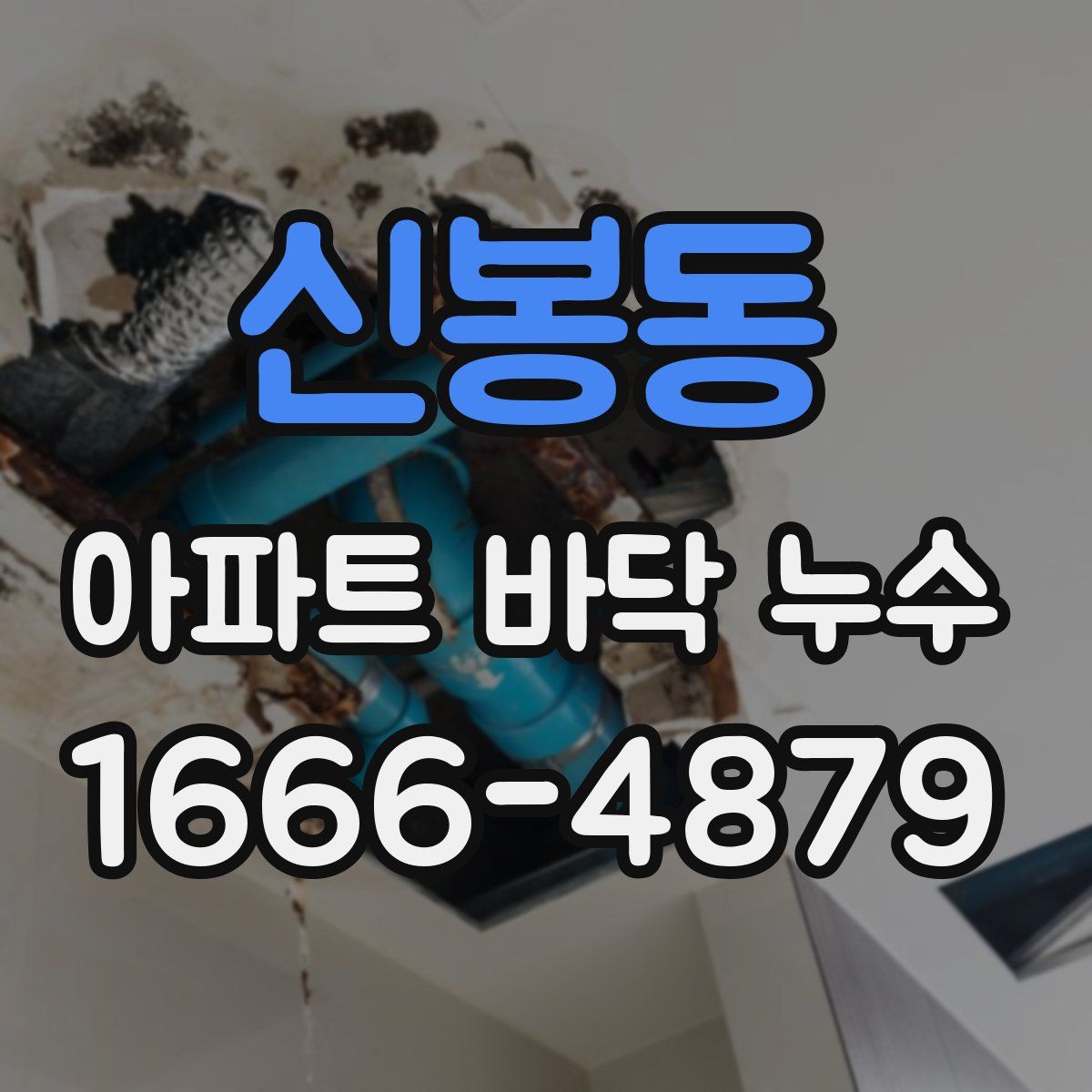 신봉동 아파트 바닥 누수