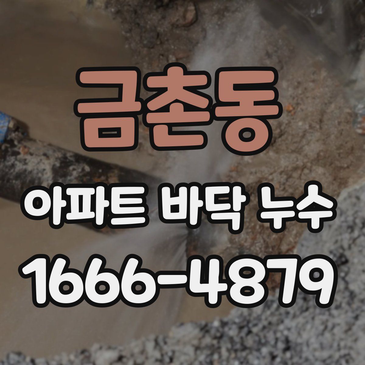 금촌동 아파트 바닥 누수