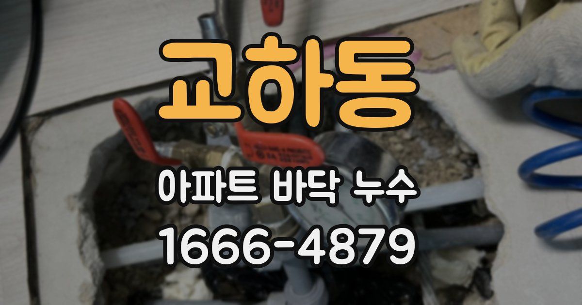 교하동 아파트 바닥 누수
