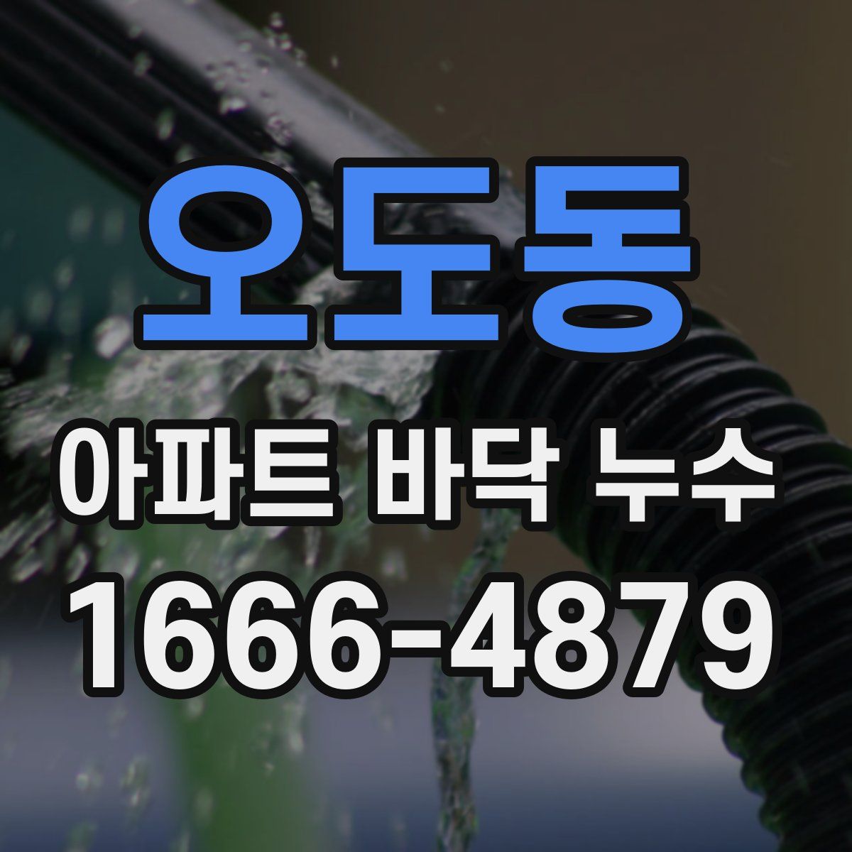 오도동 아파트 바닥 누수