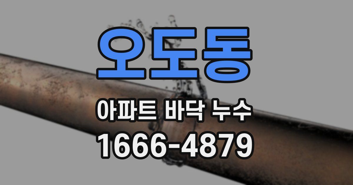 오도동 아파트 바닥 누수