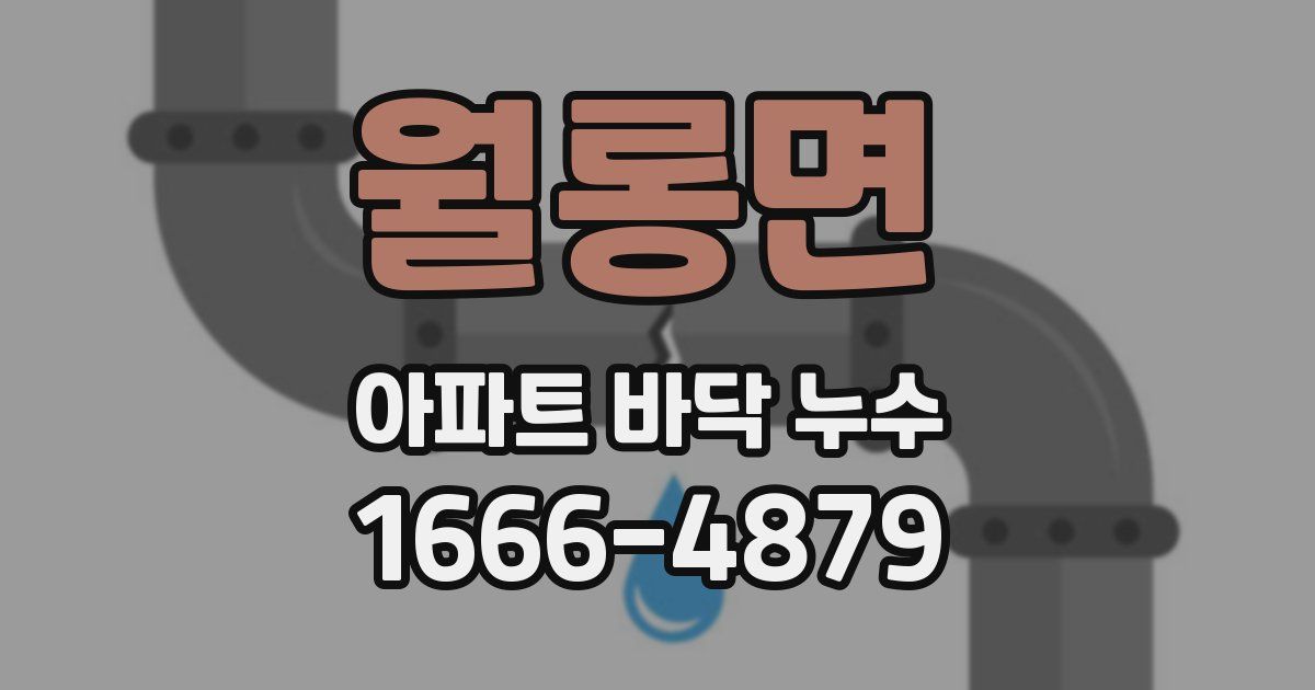 월롱면 아파트 바닥 누수