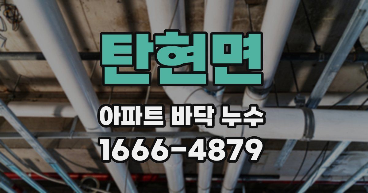 탄현면 아파트 바닥 누수