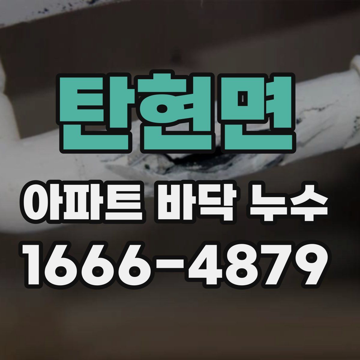 탄현면 아파트 바닥 누수