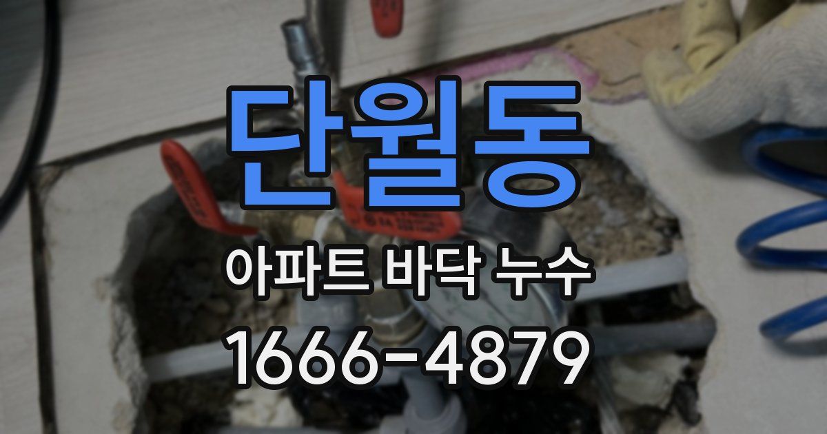 단월동 아파트 바닥 누수