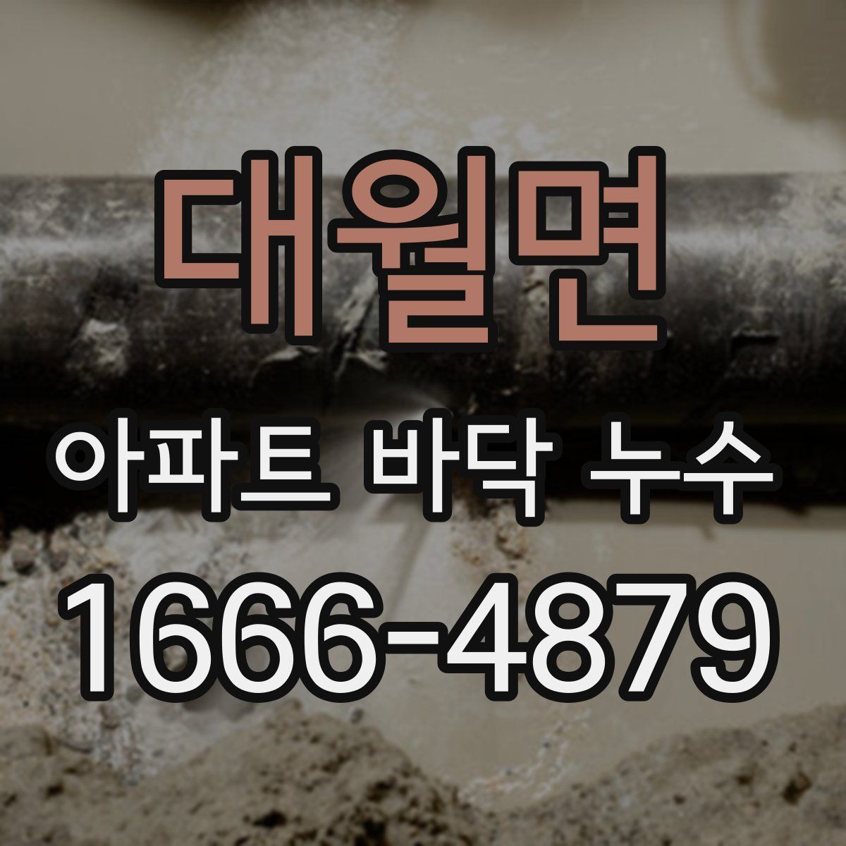 대월면 아파트 바닥 누수
