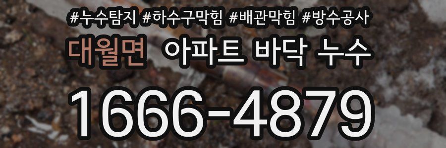 대월면 아파트 바닥 누수