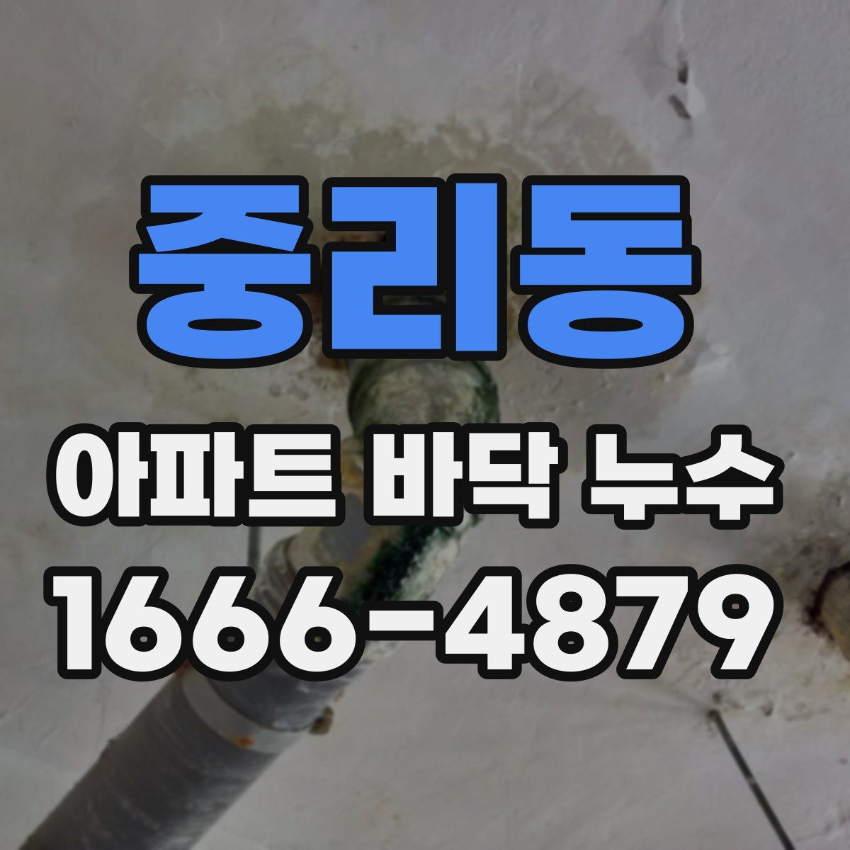 중리동 아파트 바닥 누수