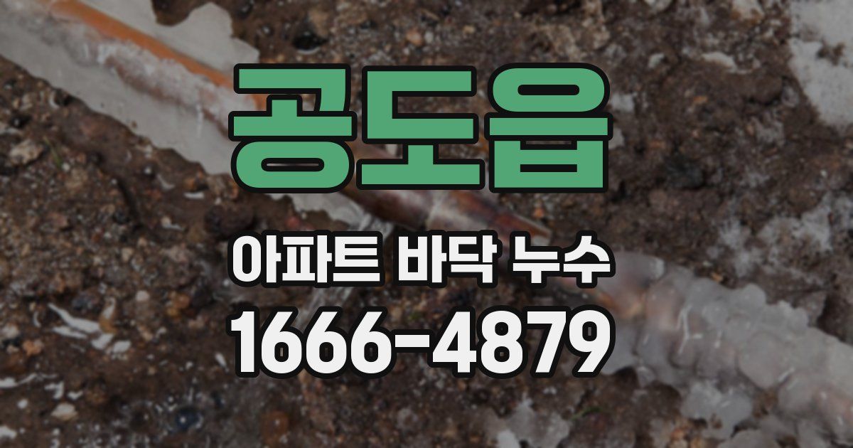공도읍 아파트 바닥 누수