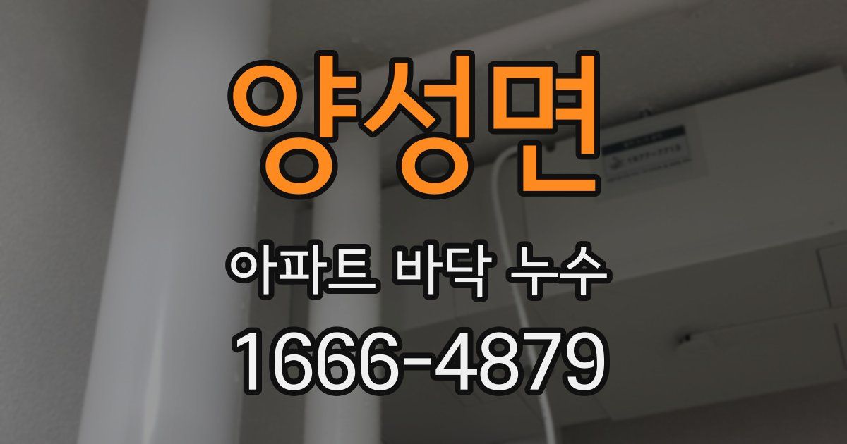 양성면 아파트 바닥 누수