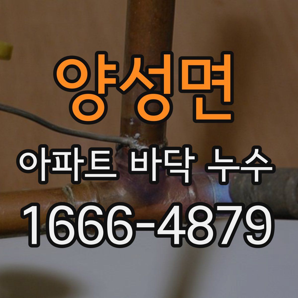 양성면 아파트 바닥 누수