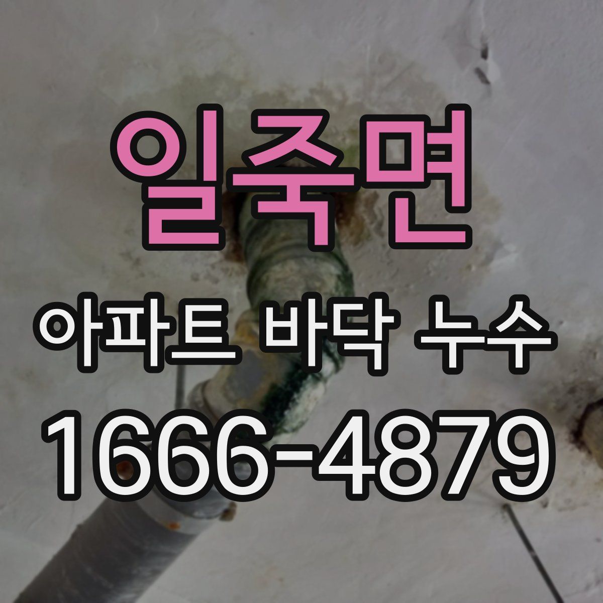 일죽면 아파트 바닥 누수