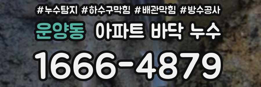 운양동 아파트 바닥 누수