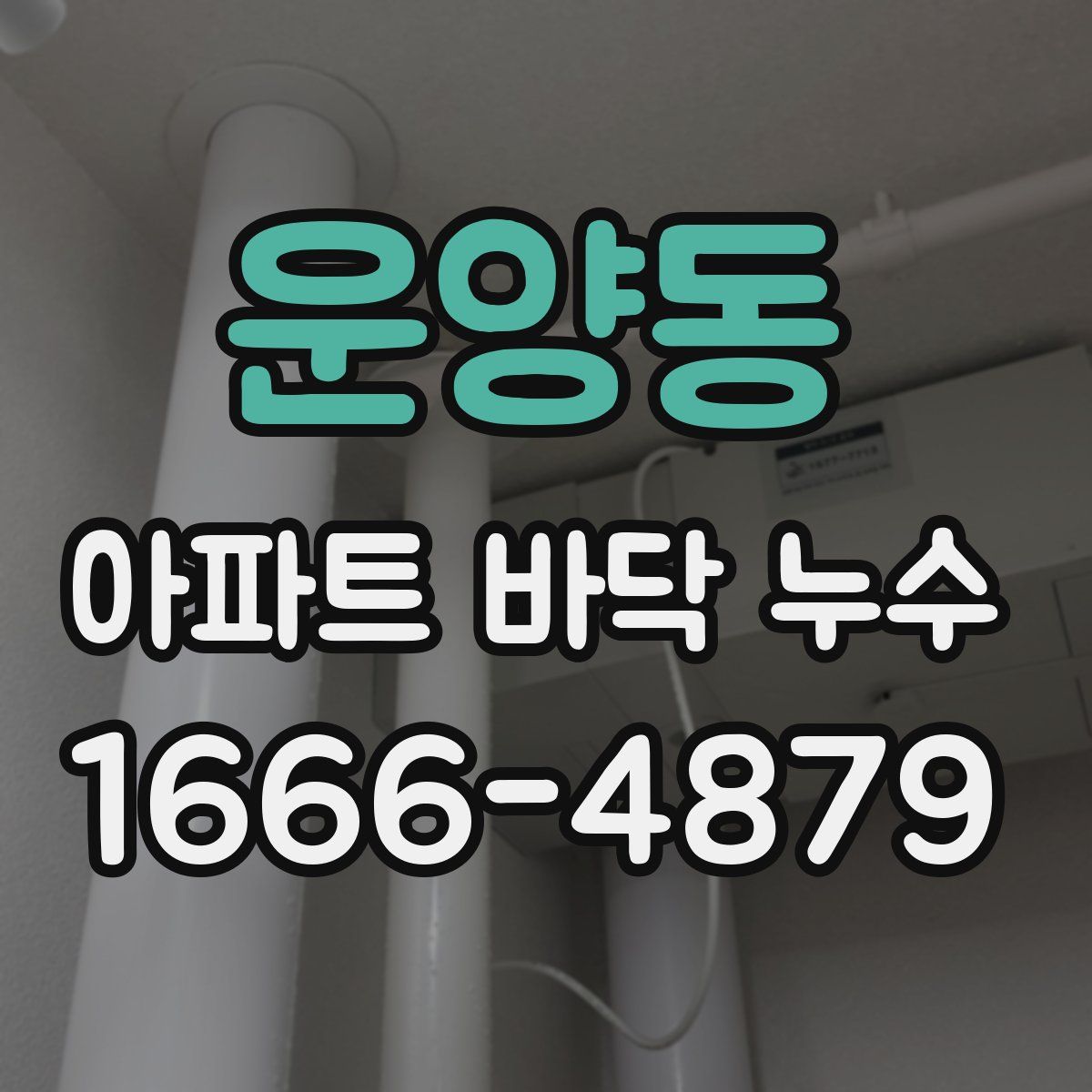 운양동 아파트 바닥 누수